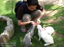asian with rabbits