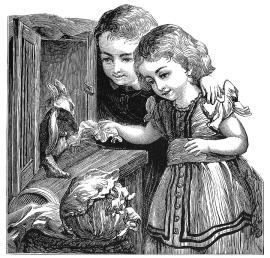 children-feeding-rabbits-granger