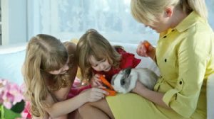 girls feeding rabbit