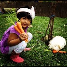 rabbit-carrot2