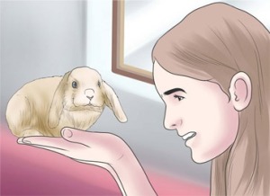 talking-to-rabbit
